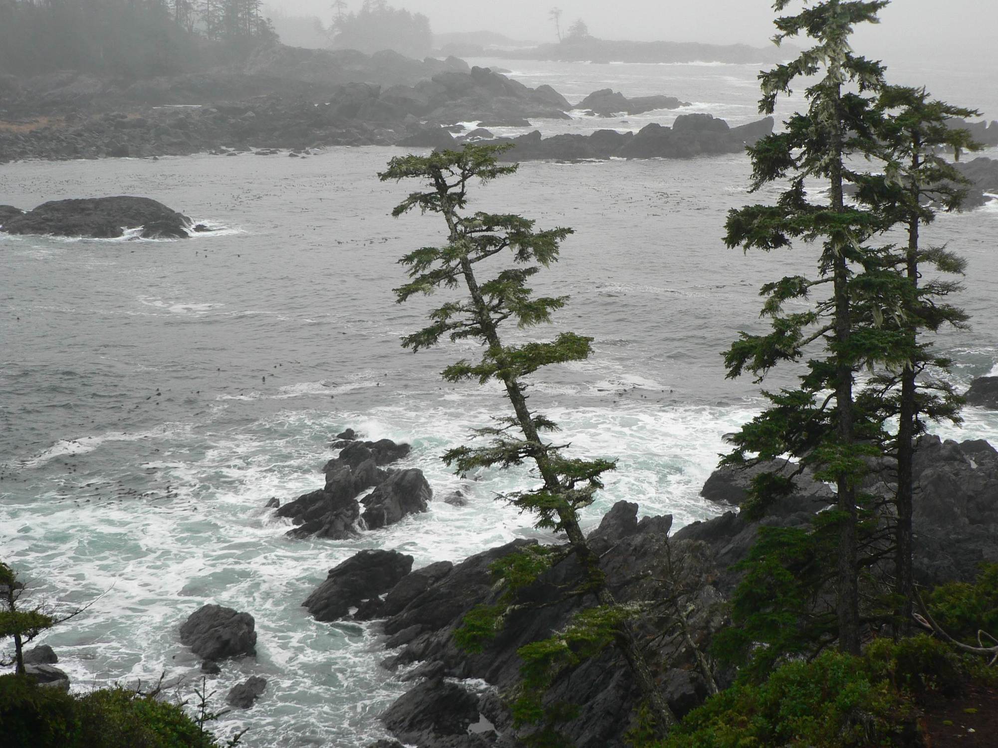 Black Rock Oceanfront Resort Ucluelet Eksteriør bilde